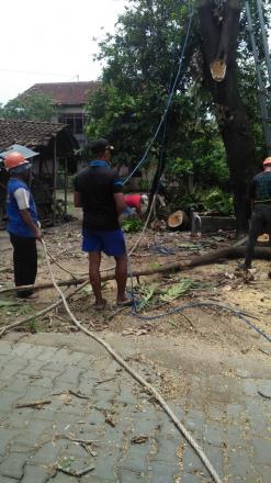 Mitigasi Pohon oleh Sigredhas di Janten RT.07
